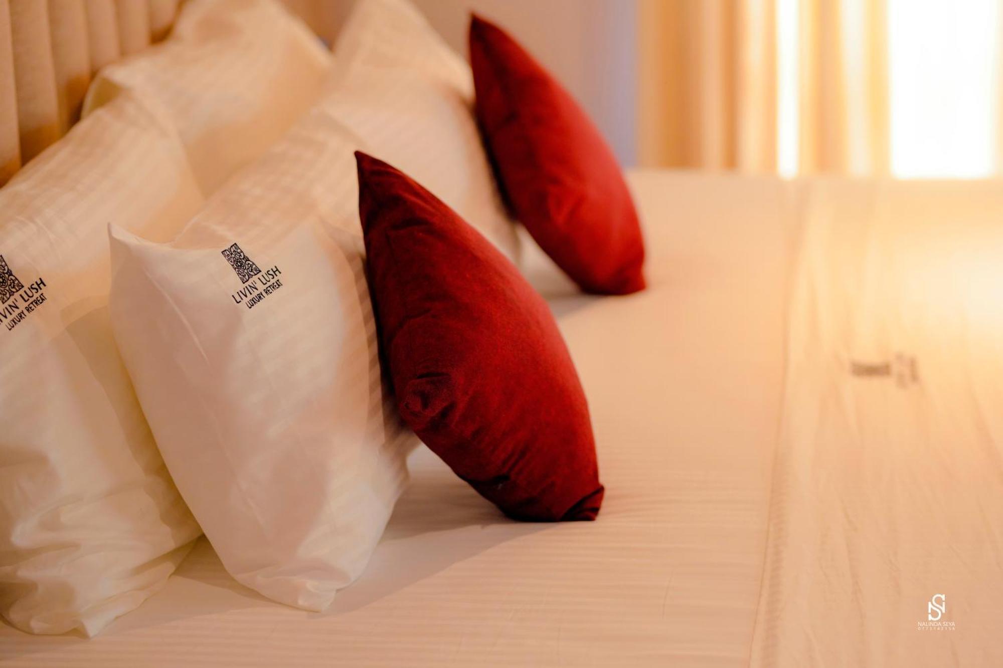 Livin Lush Luxury Retreat Otel Anuradhapura Dış mekan fotoğraf