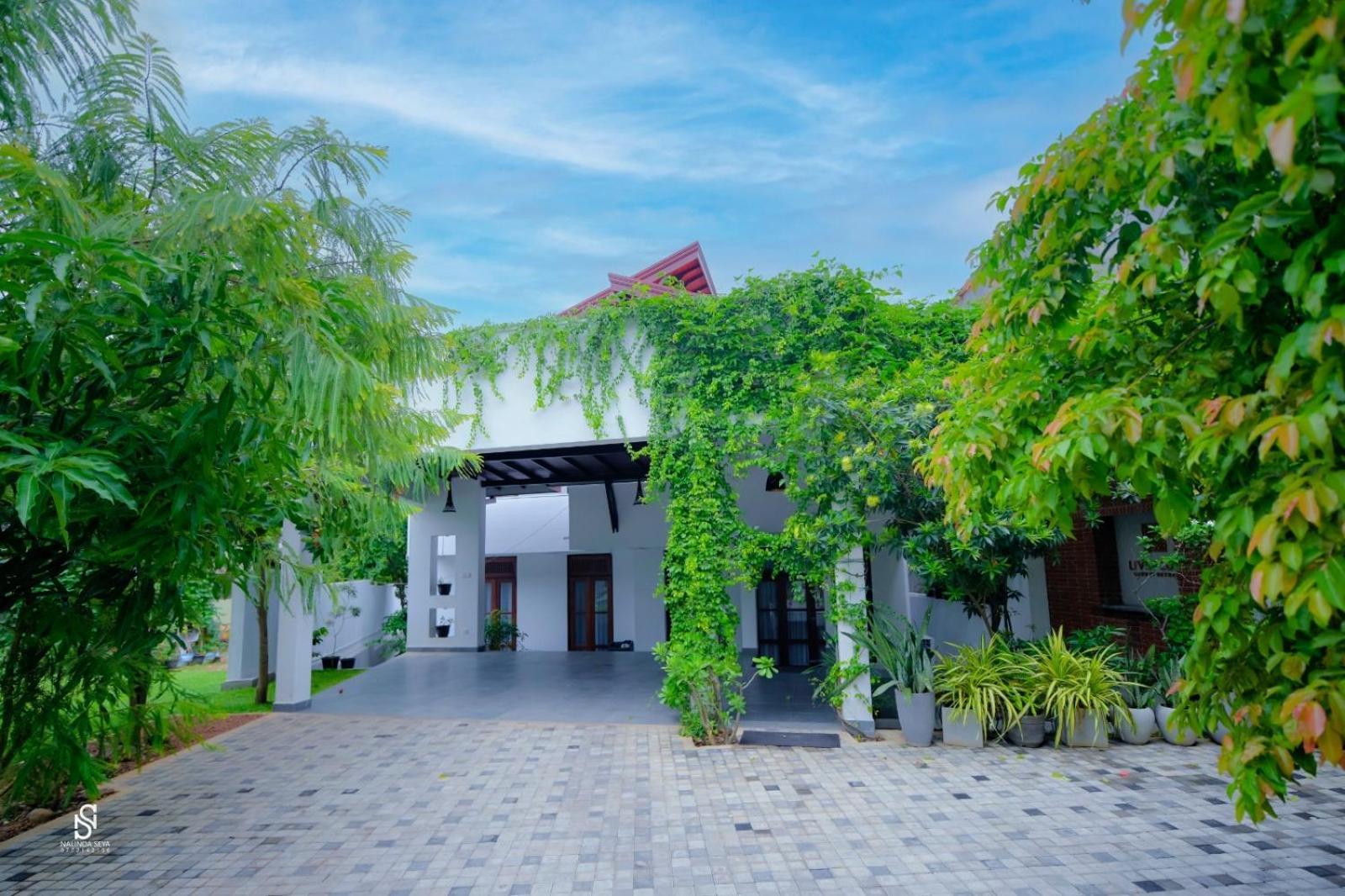 Livin Lush Luxury Retreat Otel Anuradhapura Dış mekan fotoğraf